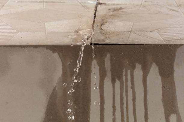 Professional Structural Drying technician working in New Sharon, IA